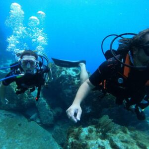 Plongée et Snorkeling – Excursion en Yole Traditionnelle