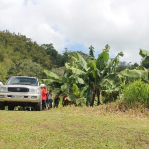 Sortie 4x4 dans le Nord de la Martinique avec Eric