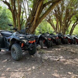 Sortie en Quad – Randonnée d’1 Heure dans une Forêt Luxuriante