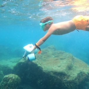 SNORKY'S BEACH : Votre Portail vers l'Aventure Sous-Marine en Martinique